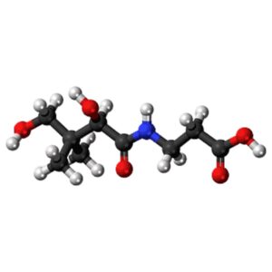 May-Question-Answer-1